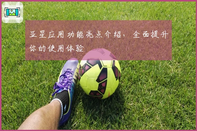 亚星应用功能亮点介绍，全面提升你的使用体验