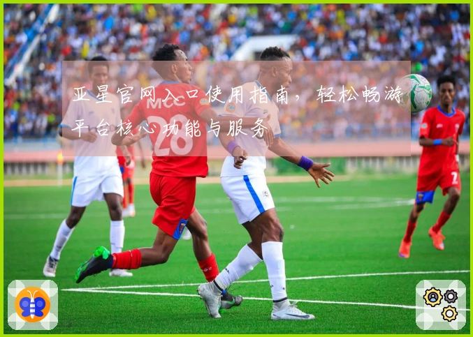 亚星官网入口使用指南，轻松畅游平台核心功能与服务