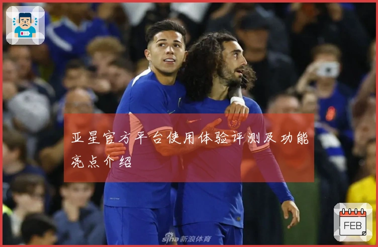 亚星官方平台使用体验评测及功能亮点介绍