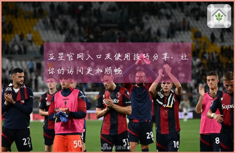 亚星官网入口及使用技巧分享，让你的访问更加顺畅